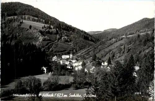 Oststeiermark/ div.Orte ung Umgebung - Sommerfrische Waldbach, -333454