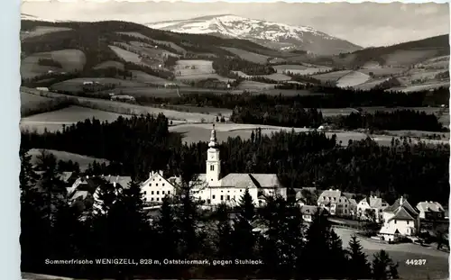 Oststeiermark/ div.Orte ung Umgebung - Sommerfrische Wenigzell gegen Stuhleck -333494