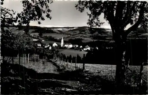 Oststeiermark/ div.Orte ung Umgebung - Sommerfrische Wenigzell -333514