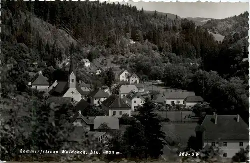 Oststeiermark/ div.Orte ung Umgebung - Sommerfrische Waldbach -333426