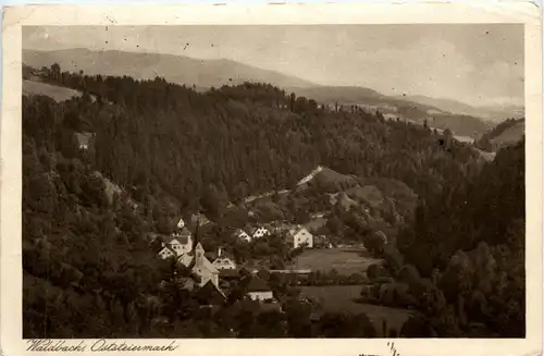 Oststeiermark/ div.Orte ung Umgebung - Sommerfrische Waldbach -333446