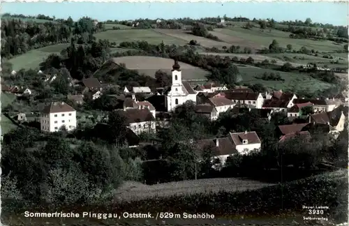 Oststeiermark/ div.Orte ung Umgebung - Sommerfrische Pinggau -333284