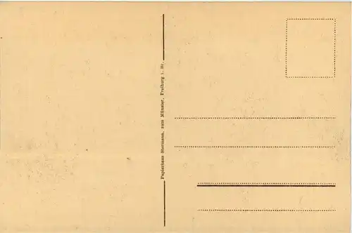 Freiburg i. Br./Baden-Württemberg - Kaiserstrasse -329136