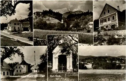 Steiermark/div.Orte und Umgebung - Sommerfrische Flattendorf, div. Bilder -334888