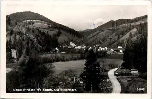 Oststeiermark/ div.Orte ung Umgebung - Sommerfrische Waldbach -333442