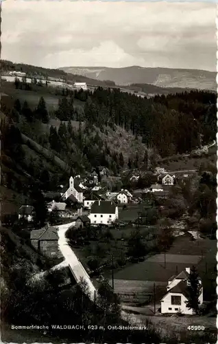 Oststeiermark/ div.Orte ung Umgebung - Sommerfrische Waldbach, -333462