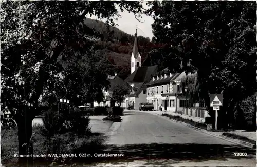 Steiermark/div. Orte - Sommerfrische Waldbach. -334946