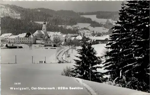 Oststeiermark/ div.Orte ung Umgebung - Sommerfrische Wenigzell -333482