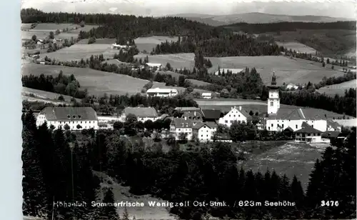 Oststeiermark/ div.Orte ung Umgebung - Sommerfrische Wenigzell -333502