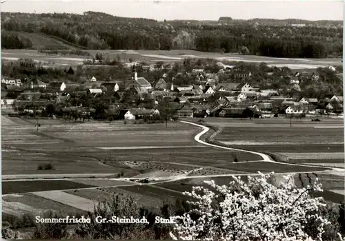 Oststeiermark/ div.Orte ung Umgebung - Sommerfrische Gr.-Steinbach -333542