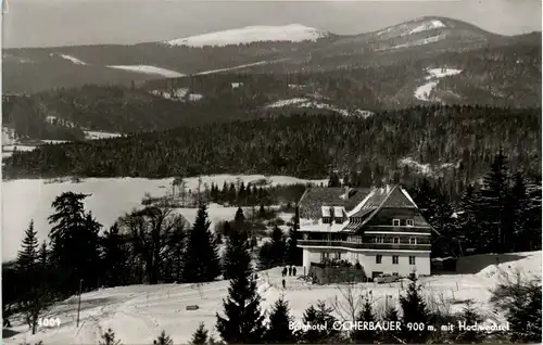 Steiermark/div.Orte und Umgebung - Berghotel Ocherbauer, mit Hochwechsel -334874