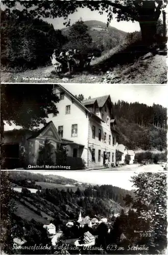 Steiermark/div. Orte - Sommerfrische Waldbach. div. Bilder -334942