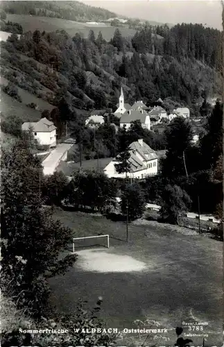 Steiermark/div. Orte - Sommerfrische Waldbach -334932