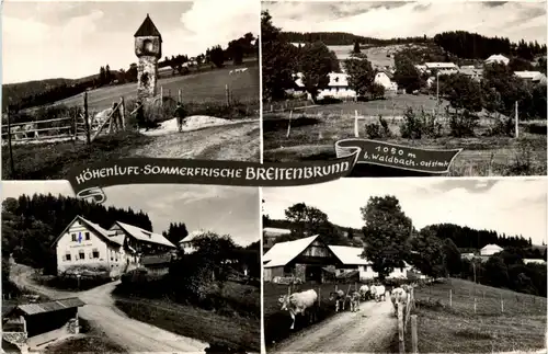 Steiermark/div. Orte - Sommerfirsche Breitenbrunn -334998