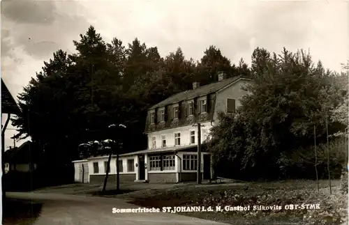 Steiermark/div. Orte - Sommerfrische St. Johann i.d. Haide, Gasthof Sifkovits -335052