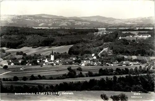 Oststeiermark/ div.Orte ung Umgebung - Sommerfrische Grafendorf -333180