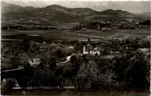 Oststeiermark/ div.Orte ung Umgebung - Sommerfrische Unterlungitz -333220