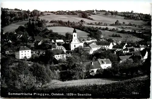 Oststeiermark/ div.Orte ung Umgebung - Sommerfrische Pinggau -333280