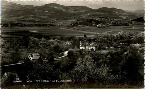 Oststeiermark/ div.Orte ung Umgebung - Sommerfrische Unterlungitz -333318