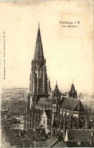 Freiburg i.B. - Das Münster -327138
