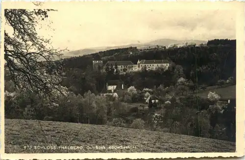 Oststeiermark/ div.Orte ung Umgebung - Schloss Thalberg -333338