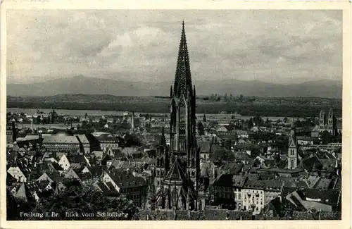 Freiburg i.B. - Blick vom Schlossberg -327128