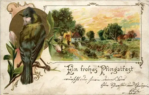 Ein frohes Pfingstfest - Vogel - Prägekarte -284222