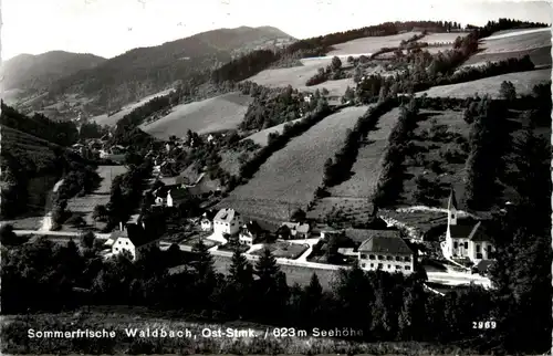 Oststeiermark/ div.Orte ung Umgebung - Sommerfrische Waldbach -333438