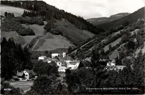 Oststeiermark/ div.Orte ung Umgebung - Sommerfrische Waldbach, -333458