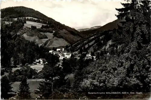 Oststeiermark/ div.Orte ung Umgebung - Sommerfrische Waldbach, -333478