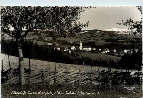 Oststeiermark/ div.Orte ung Umgebung - Sommerfrische Wenigzell -333498