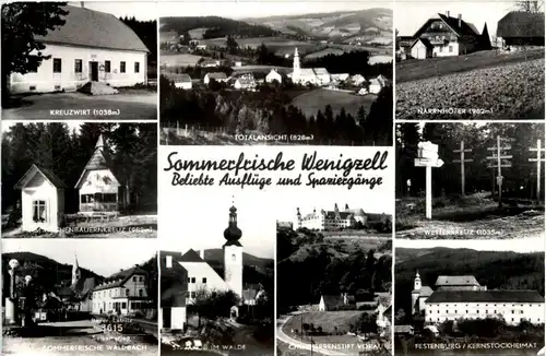 Steiermark/div. Orte - Sommerfrische Wenigzell, div. Bilder -334948