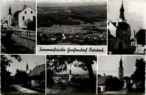 Steiermark/div.Orte und Umgebung - Sommerfrische Grafendorf, div.Bilder -334820