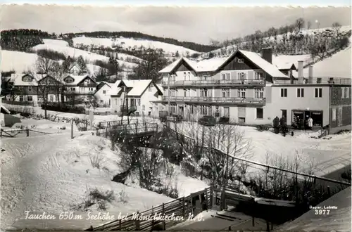 Steiermark/div.Orte und Umgebung - Tauchen bei Mönichkirchen -334896