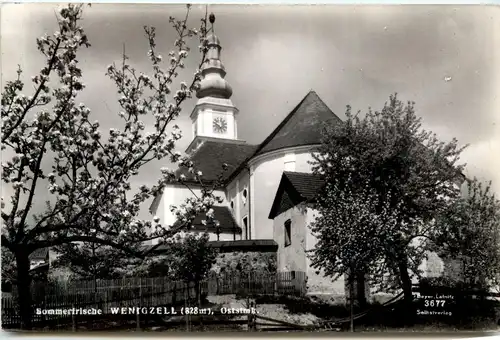 Steiermark/div. Orte - Sommerfrische Wenigzell, -334954