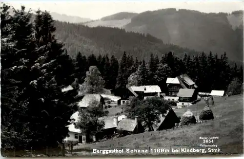 Steiermark/div.Orte und Umgebung - Kindberg, Berggasthof Schanz -334876