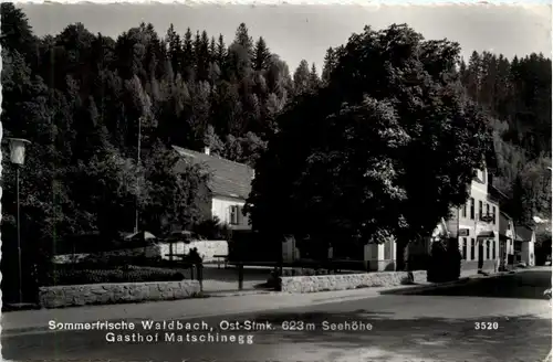 Steiermark/div. Orte - Sommerfrische Waldbach. Gasthof Matschinegg -334934