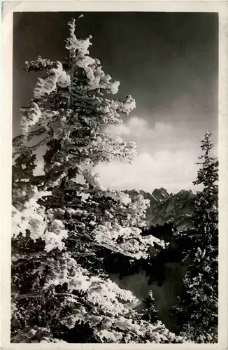 Kaisergebirge - Blick vom Sudelfeld zum wilden Kaiser -327352