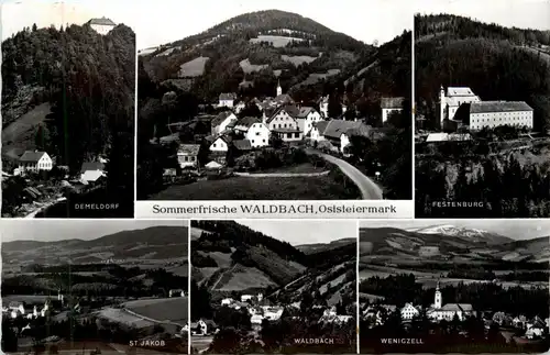 Steiermark/div. Orte - Sommerfrische Waldbach. div. Bilder -334940