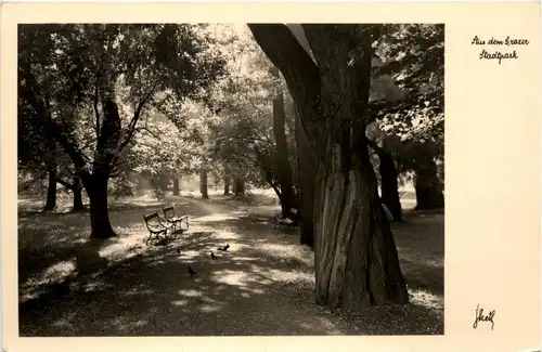 Graz/Steiermark - Aus dem Grazer Stadtpark -335984