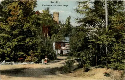 Rochlitz - Waldpartie auf dem Berge -408194