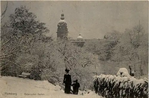 Hamburg - Botanischer Garten im Winter -408442