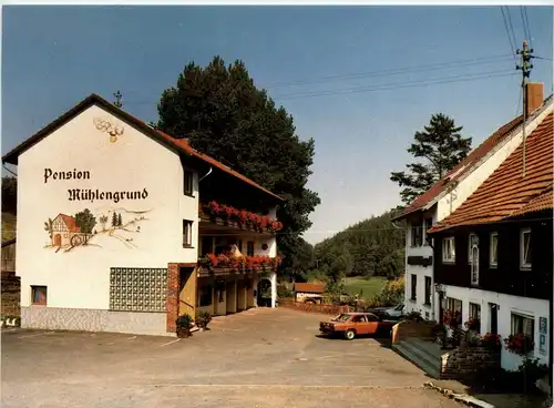 Bischofsheim-Oberweissenbrunn - Gasthof Zum Mühlengrund -284886