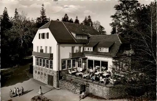 Heidelberg - Restauration Königstuhl -408888