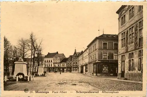 Montaigu - Scherpenheuvel -285142