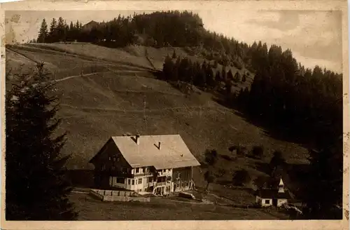 Bregenz/Vorarlberg, div. Orte und Umgebung - Pfänderspitze mit Hotel und Dohle -336622