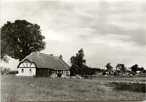 Neukamp auf Rügen -409684