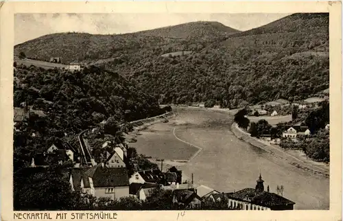 Heidelberg - Neckartal mit Stiftsmühle -408978