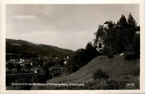 Steiermark/div.Orte und Umgebung - Sommerfrische Kindberg -322802