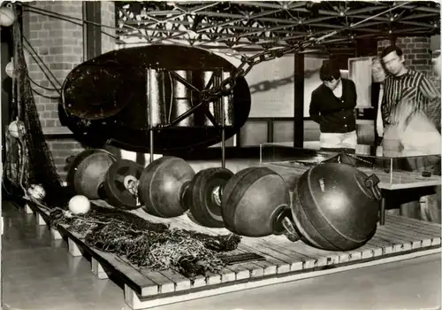 Stralsund Meeresmuseum -409602